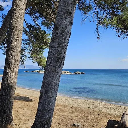 Casa Espaciosa A 600m De Playas De Empuries Con Terraza Privada - Hisp-236-167 Dom wakacyjny